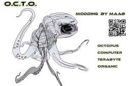 OCTO-�˴�ͨ�����Ter