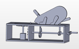 Katz und maus玩具的大模型