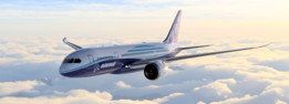 ����787-8�λÿͻ�RCģ��