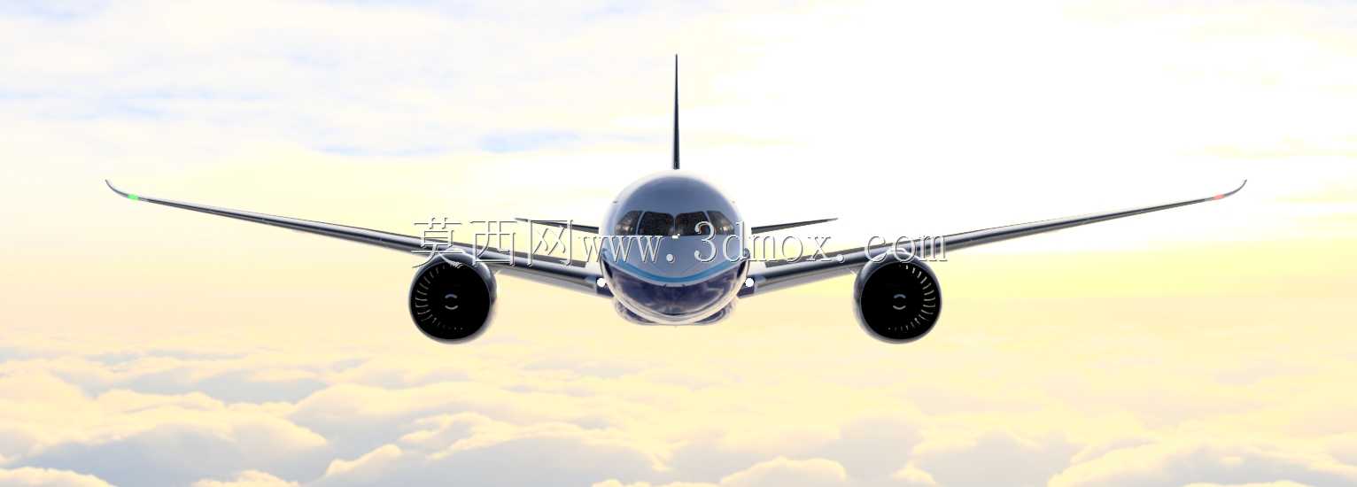 ����787-8�λÿͻ�RCģ��