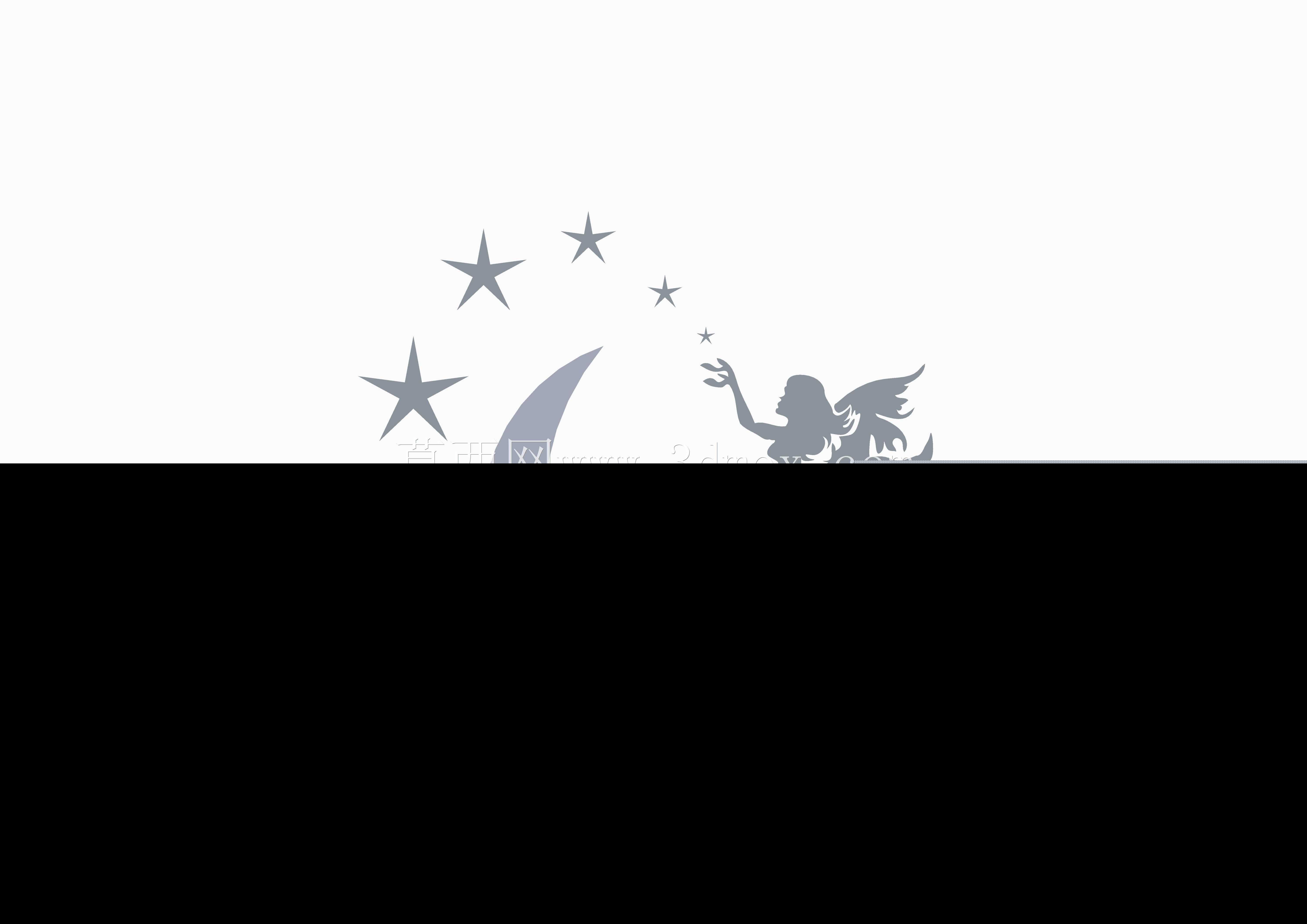 ǽ��װ��