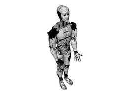 InMoov����