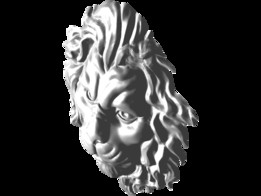 ʨ