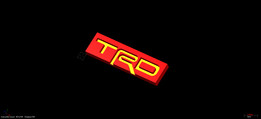 TRD��־