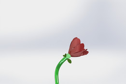 ��