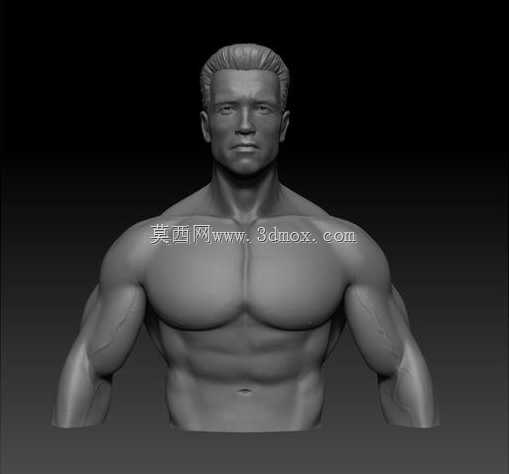 T 800