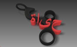 ˮ������֧�ܡ�HAYAT��