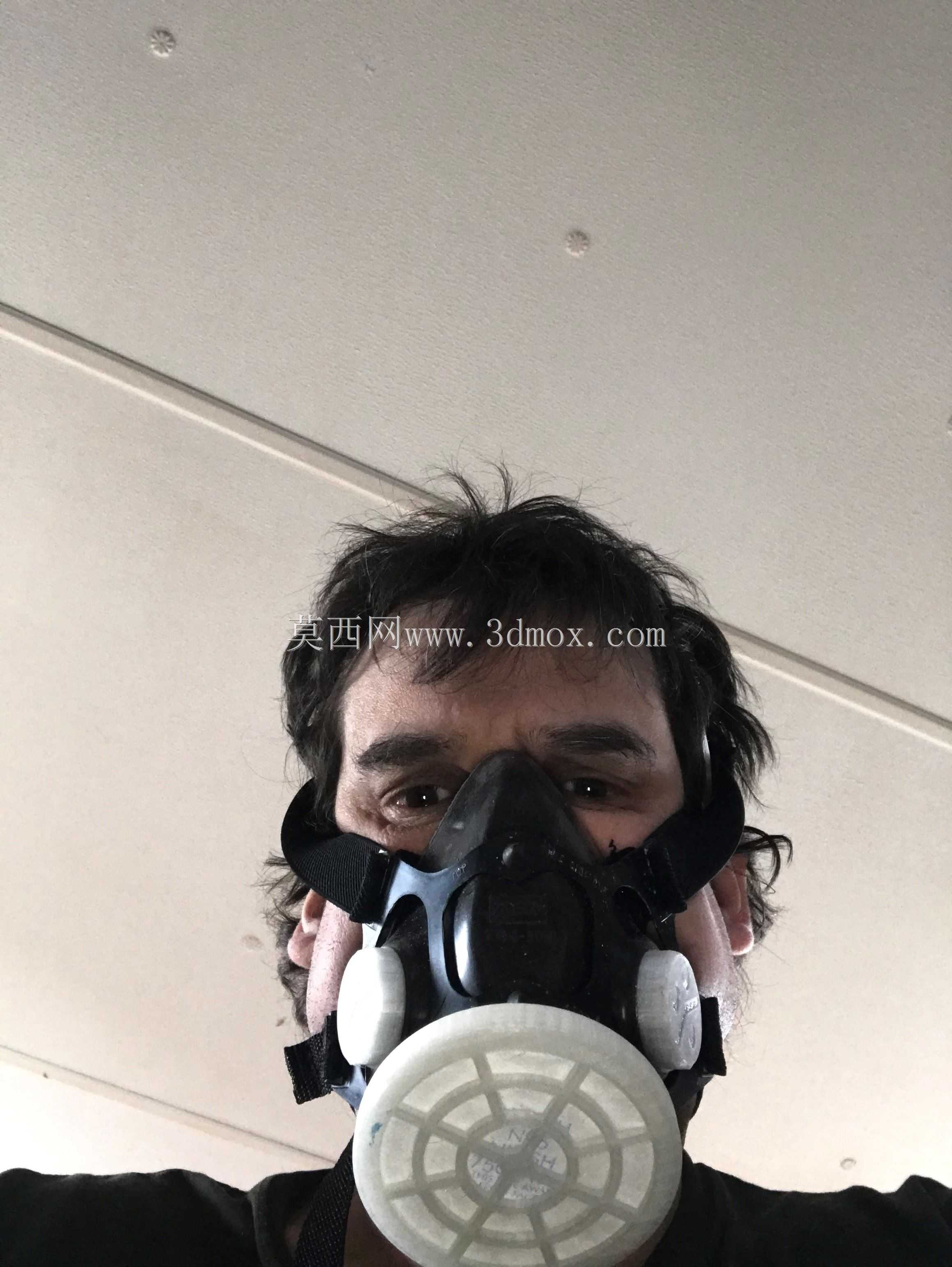 北/霍尼韦尔面罩排气过滤器