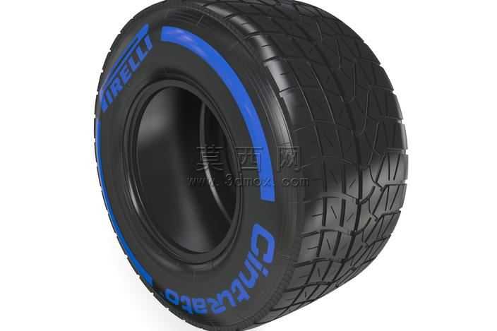 F12014轮胎湿245/670-13(前台LH)