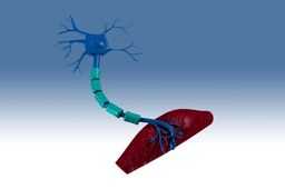��Signaling.ics