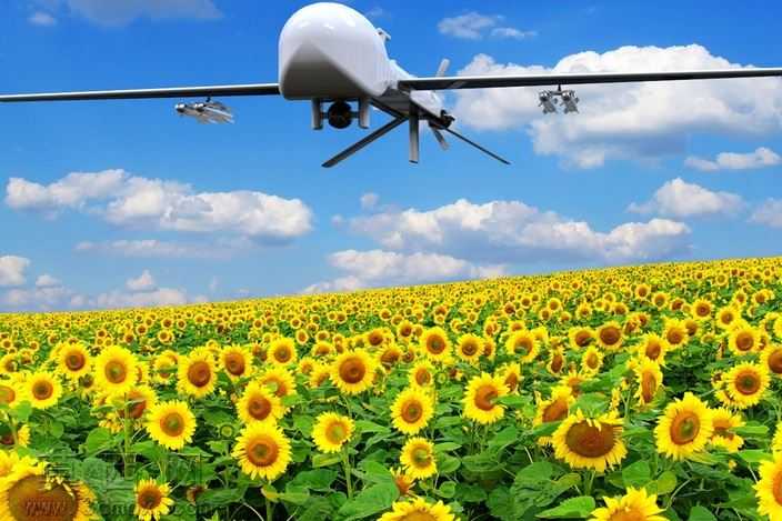 ��ʳ�����˻�MQ-1
