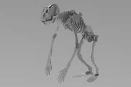 ľ��Գ�Ǽ�
