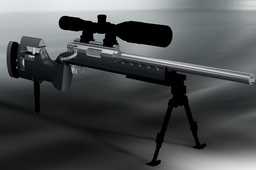 .308WINս����ǹ
