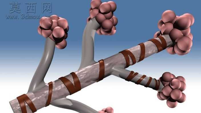 Bronchiole.ics
