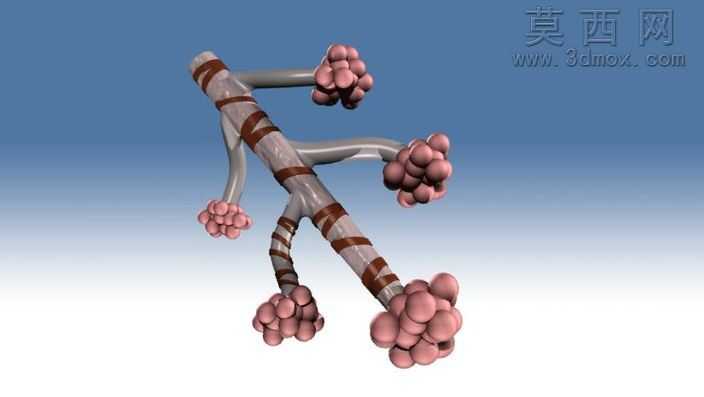 Bronchiole.ics
