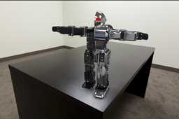 RoboSavvy���λ�����v.1.0
