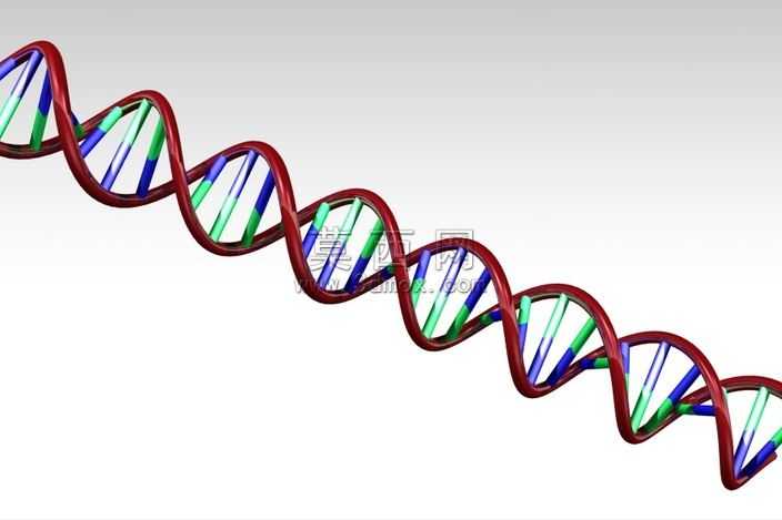 ����DNA

