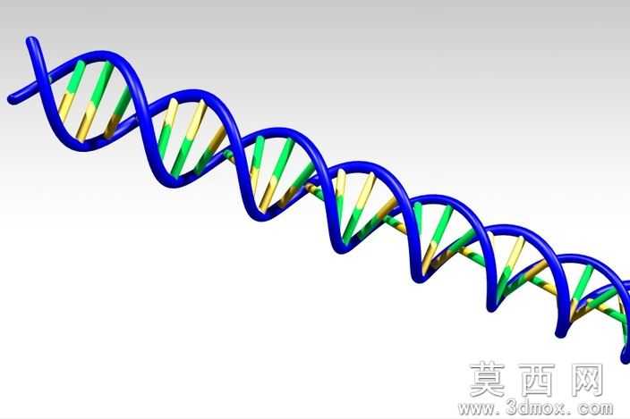 ����DNA
