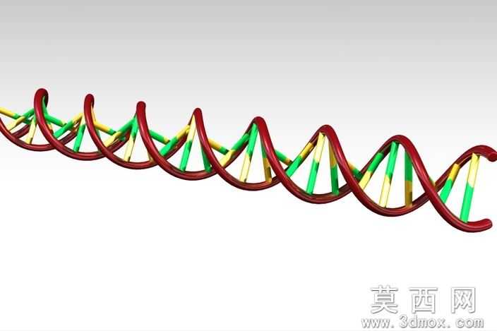 ����DNA
