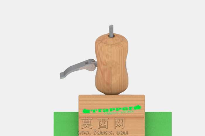 世界皮划艇的鱼
