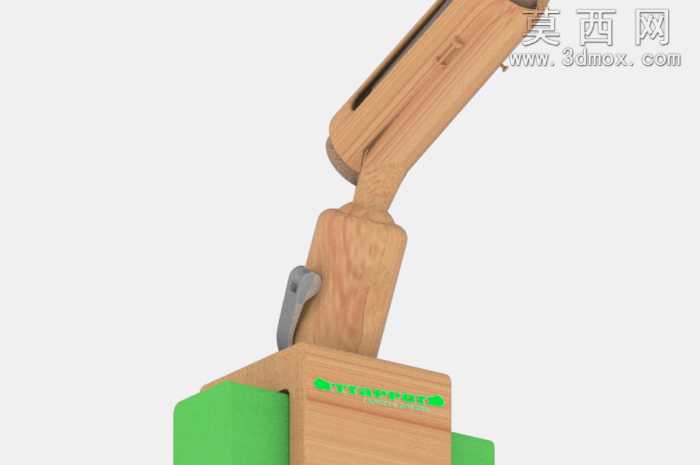 世界皮划艇的鱼