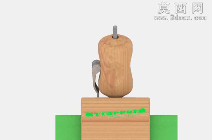 世界皮划艇的鱼