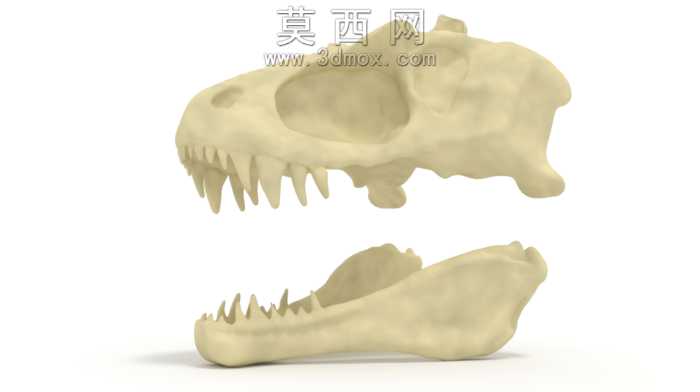 Lythronax恐龙