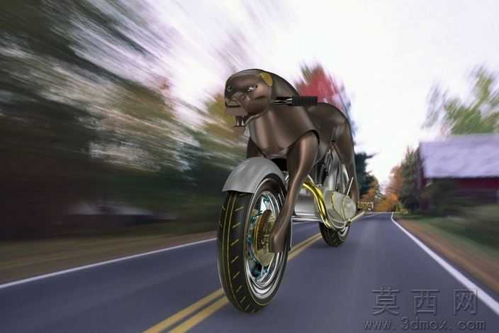城市猎人