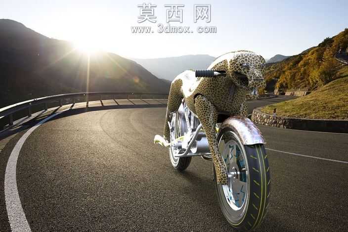 城市猎人