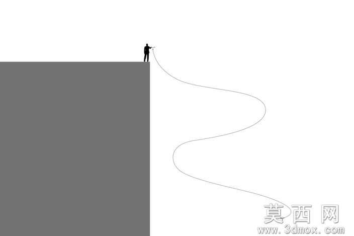 枫树种子