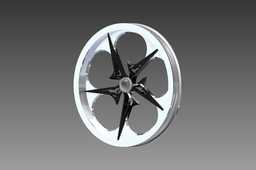 rim1