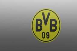 BVB
