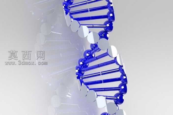 DNA��
