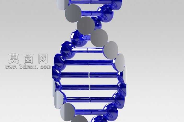 DNA��
