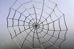 WebCob