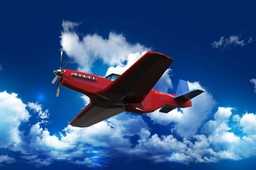P51Ұ��