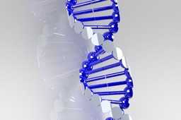DNA��
