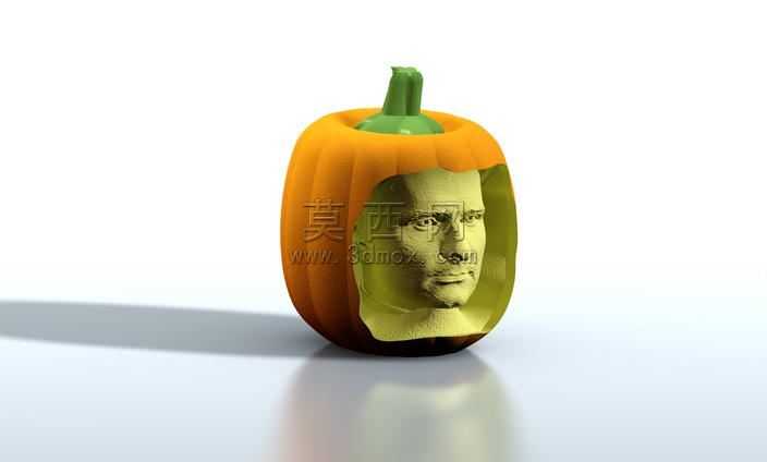 �Ϲ�ͷװ��ģ��