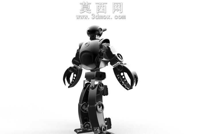 Robotsavvyciborgue

