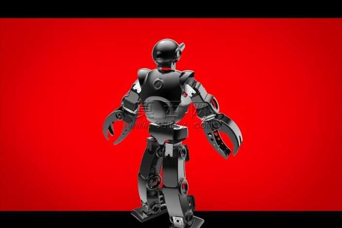 Robotsavvyciborgue
