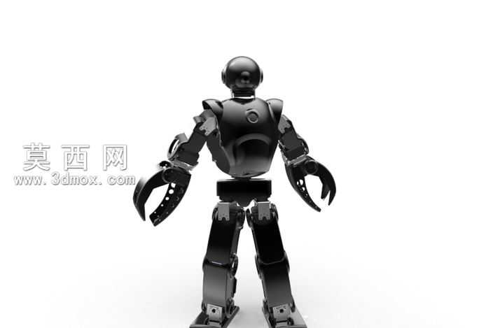 Robotsavvyciborgue
