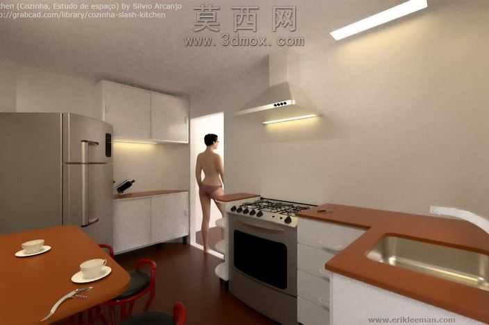 由西尔维奥·Arcanjo厨房