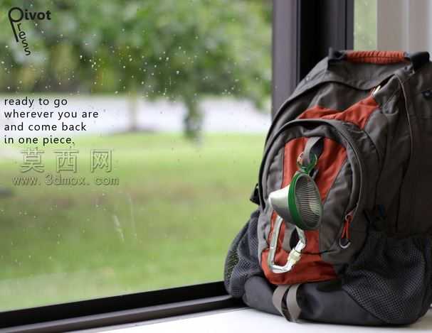 数据透视新闻