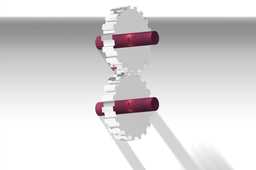 ���ֻ�
