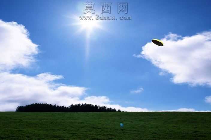 粘土鸽