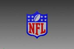 NFL�ձ�
