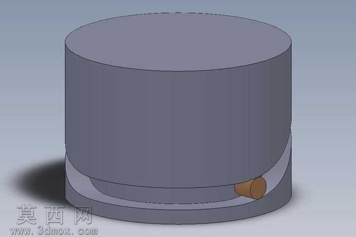 Cam_pin
