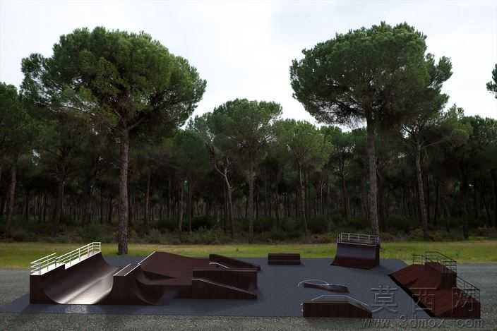 SkateparkSBSaintP��
