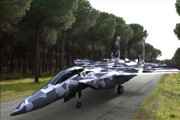 F-15ӥ
