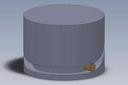 Cam_pin